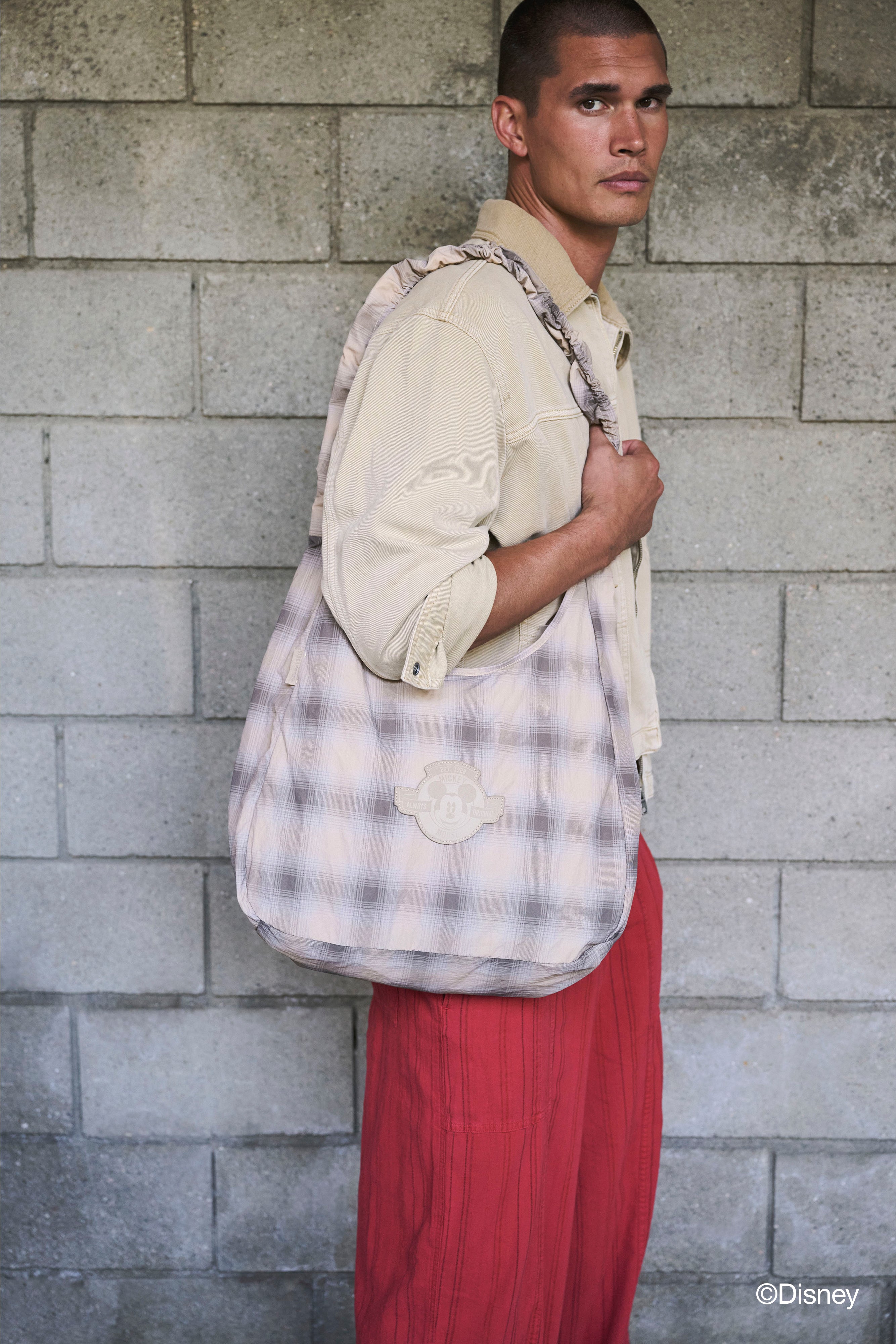 beis-disney-packable-charm-bag-tote-pliable-beige-plaid image 3