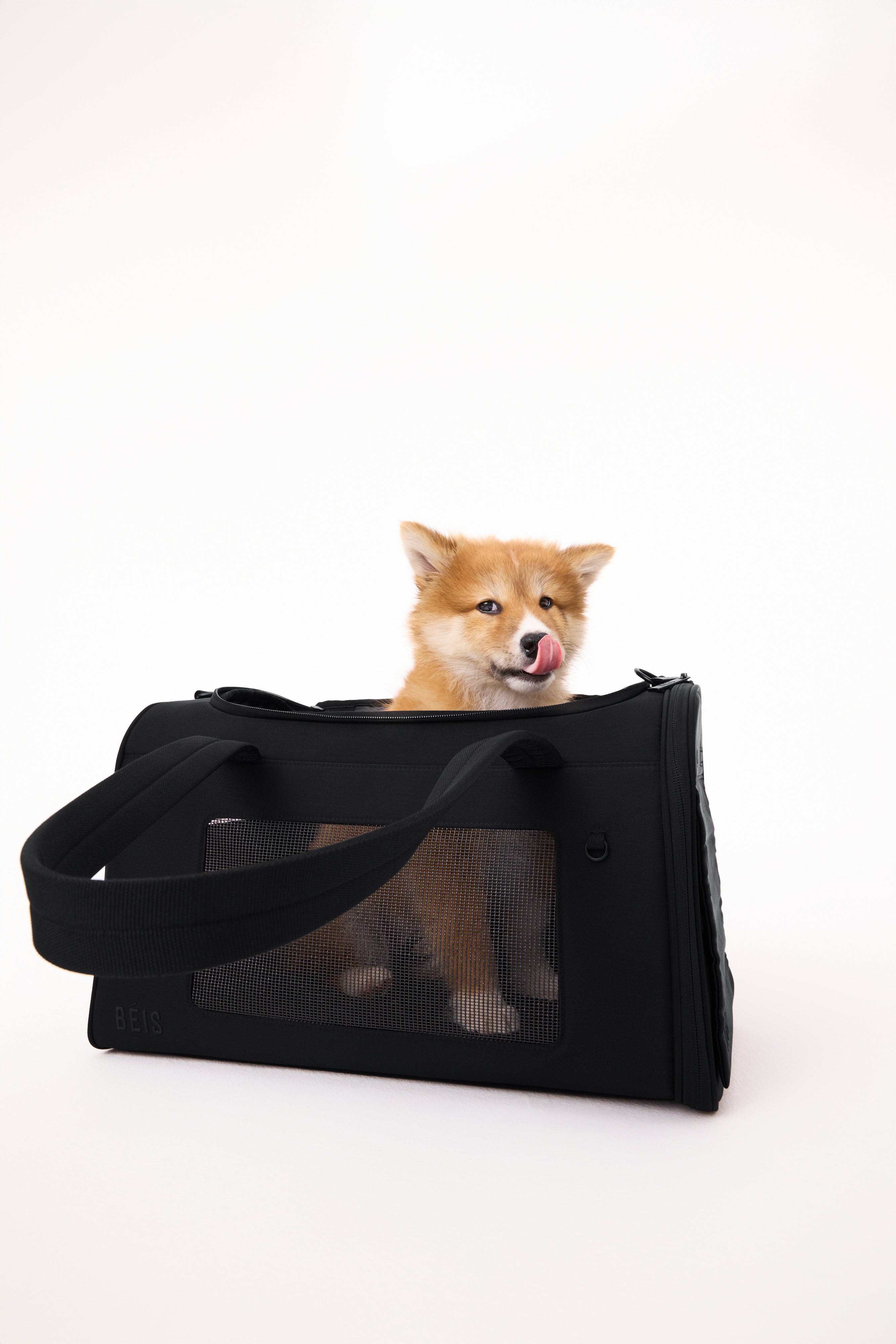 beis-the-pet-carrier-sac-transport-animal-noir-avion image 4