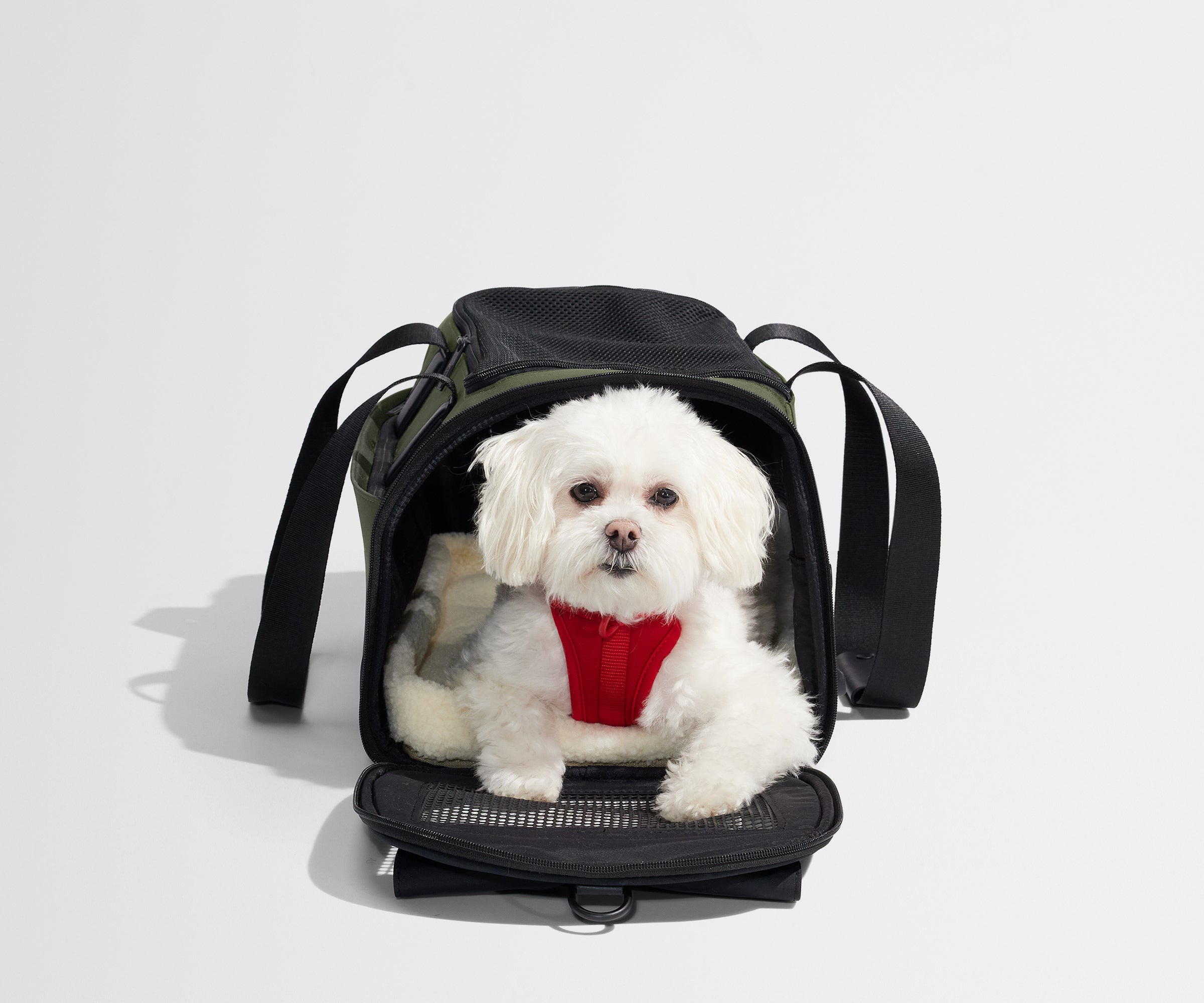 away-pet-carrier-sac-transport-animal-olive-green image 8