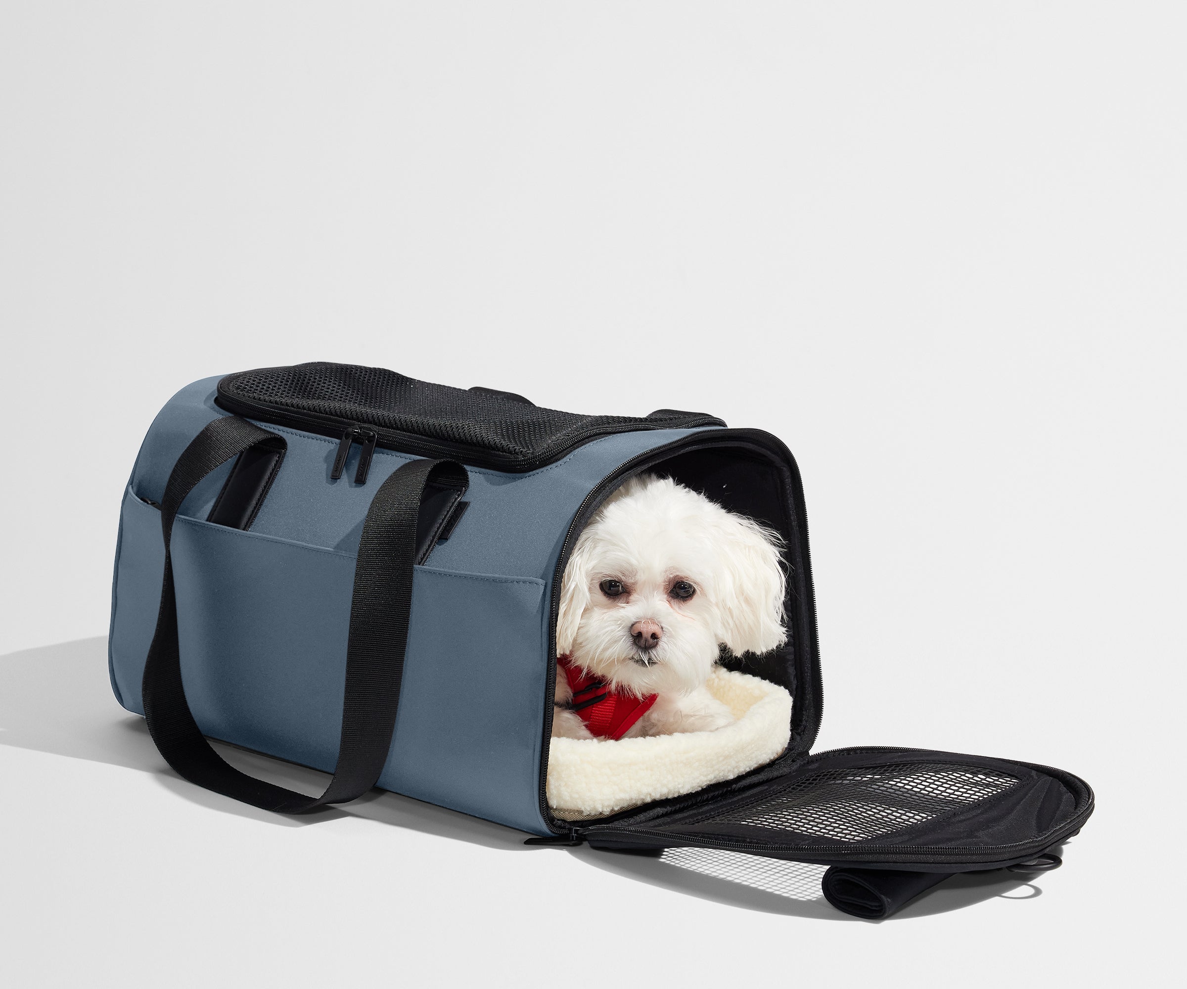 away-pet-carrier-sac-transport-animal-bleu-coast-blue image 5