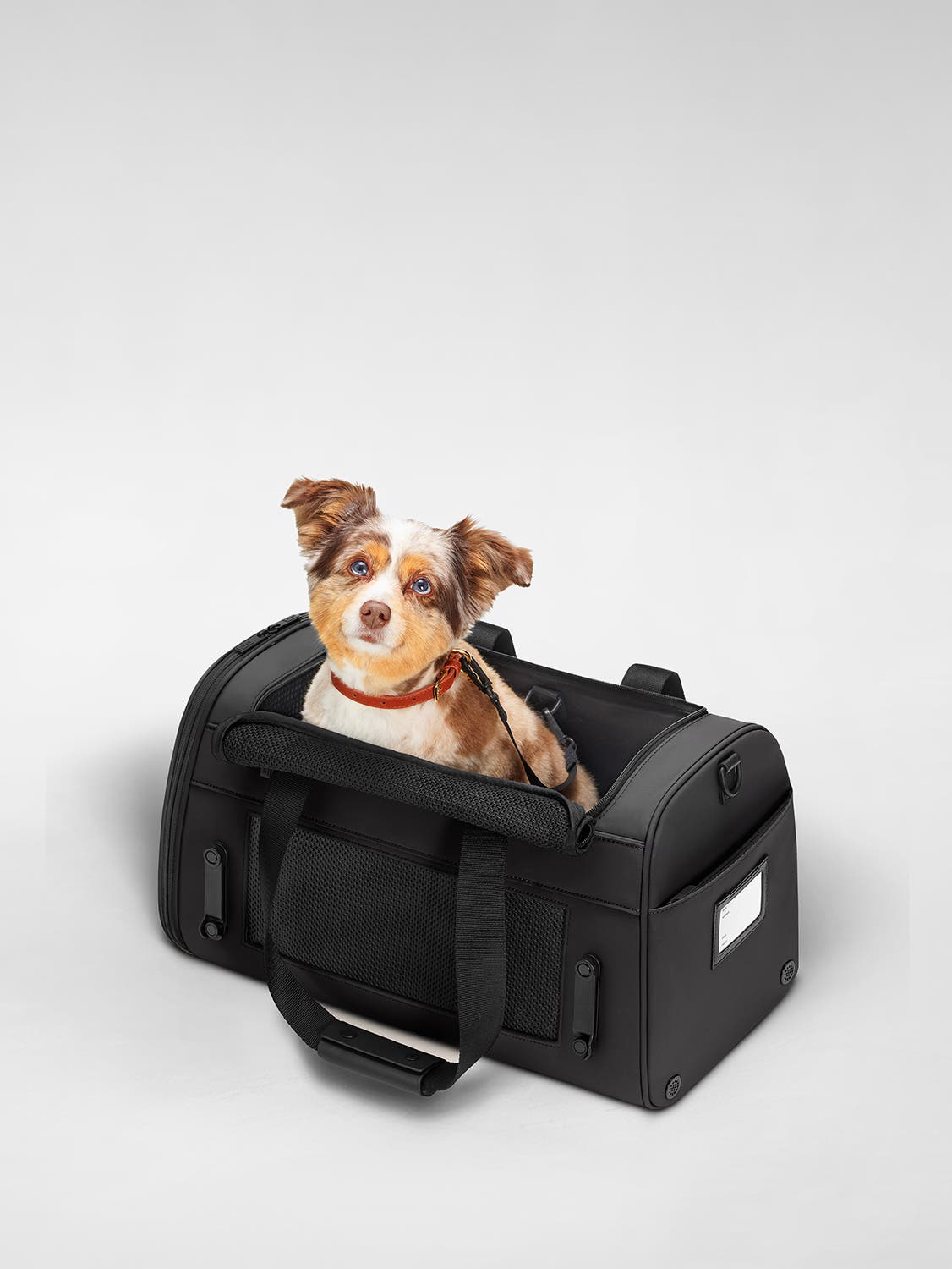 away-pet-carrier-sac-transport-animal-noir-jet-black image 4