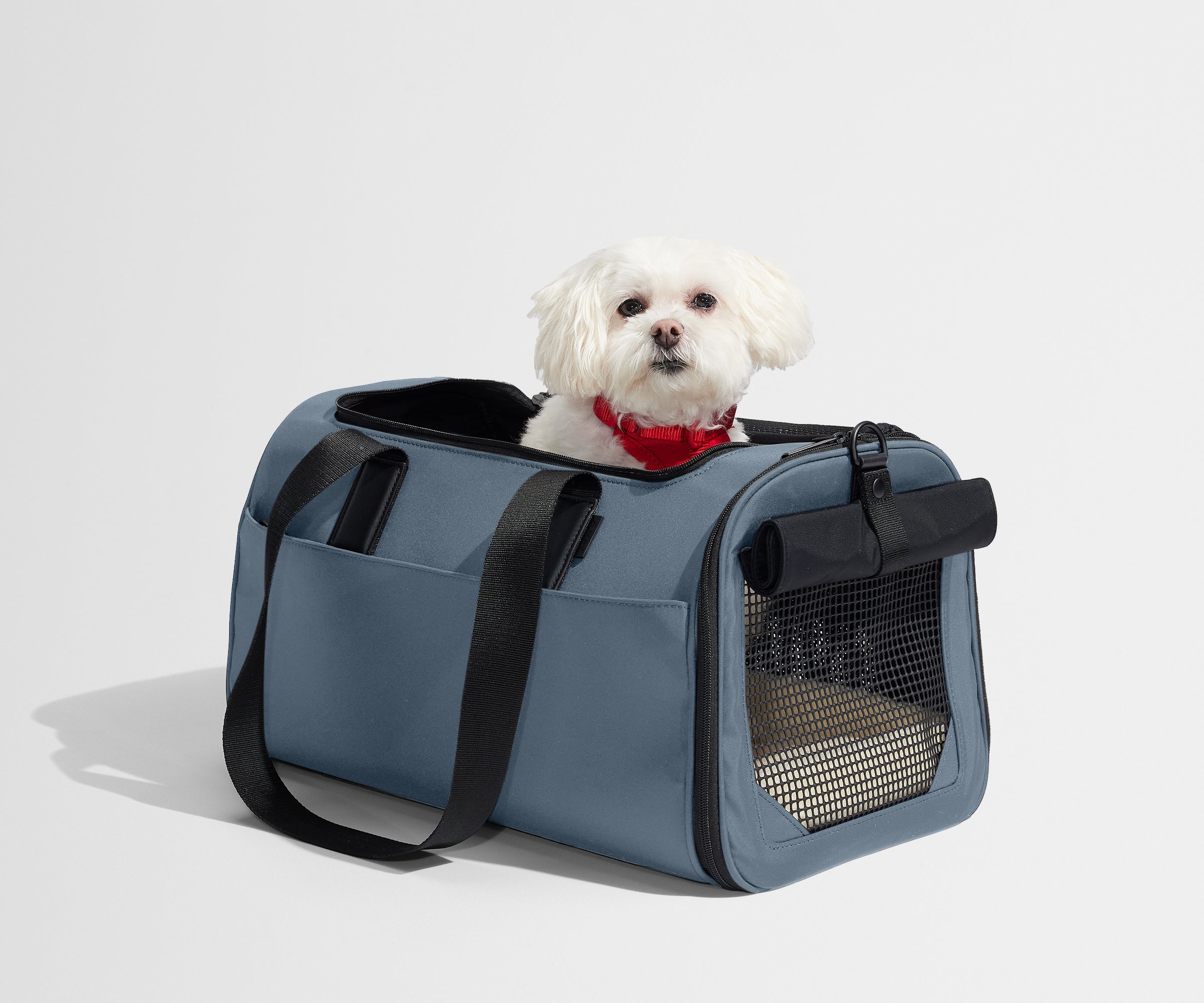 away-pet-carrier-sac-transport-animal-bleu-coast-blue image 4