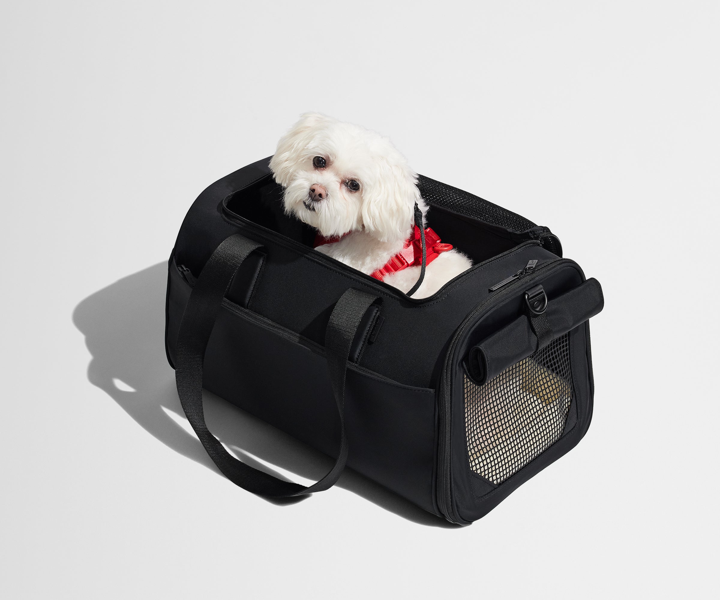 away-pet-carrier-sac-transport-animal-noir-cabine image 8