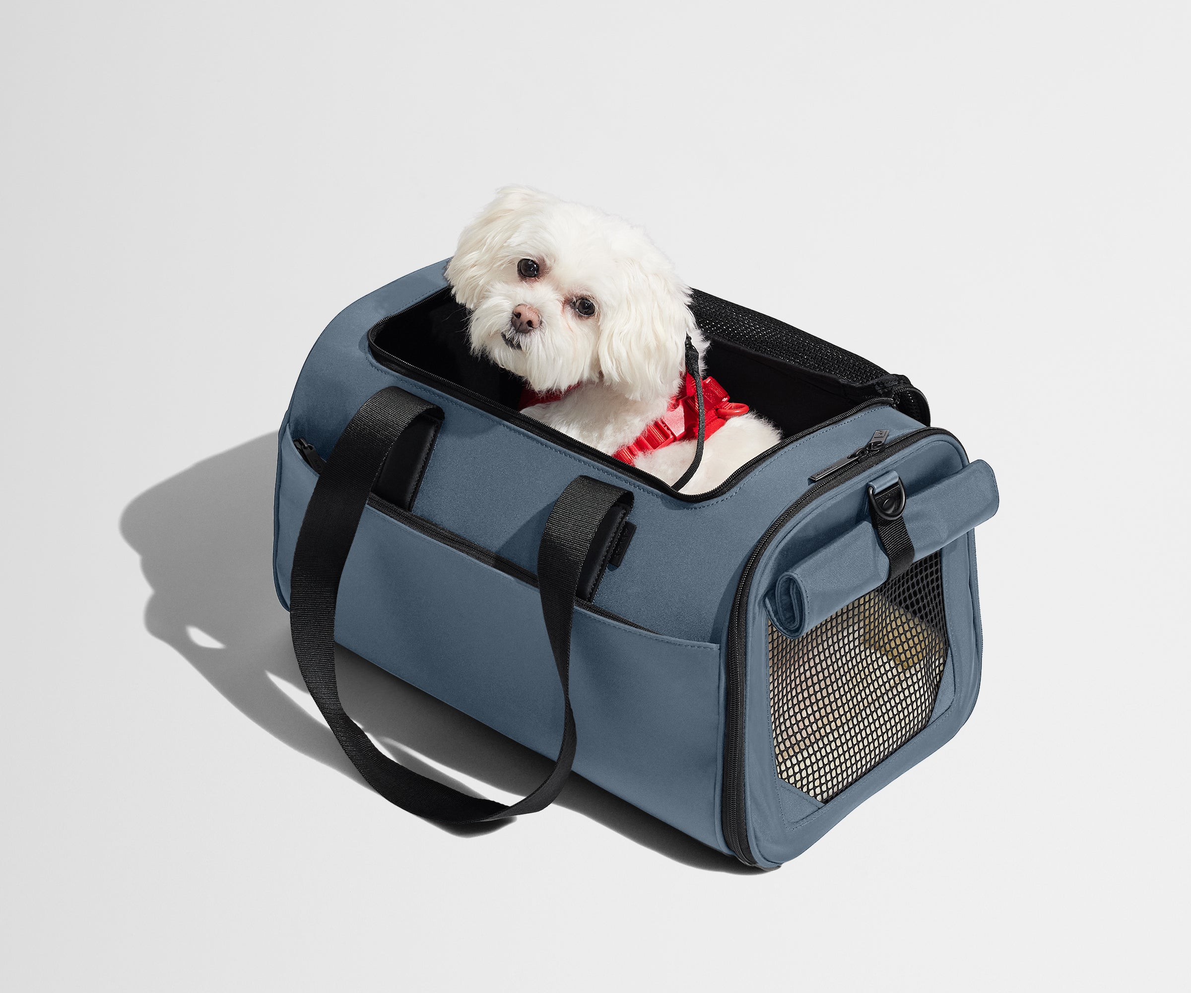 away-pet-carrier-sac-transport-animal-bleu-coast-blue image 8