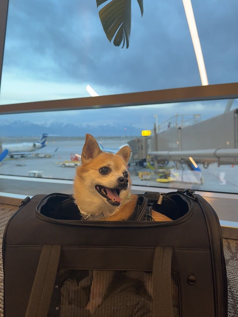 À tester